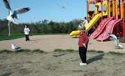 Little Boy at the Beach (img )