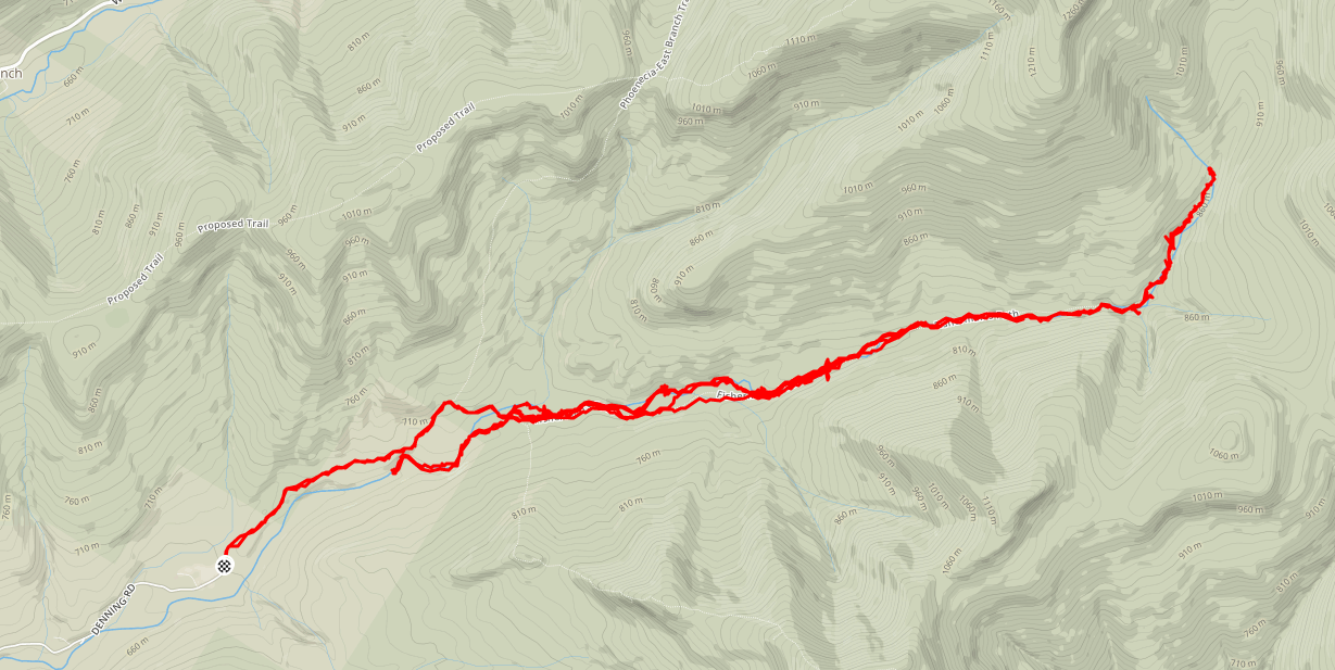 Catskills East Branch Neversink River NJ/NY Hikes