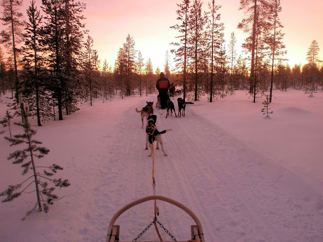 Husky sledding is just one of the many snowy adventures that await in Santa's Lapland.