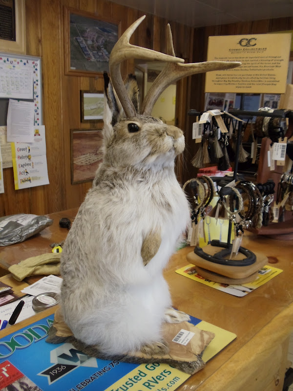 RVAGOGO “Official Home of the Jackalope” Douglas, Wyoming