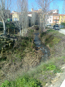 EL RIO CON AGUA