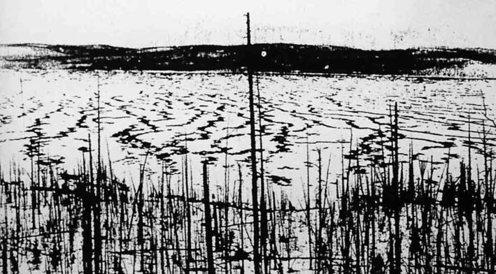 Tunguska Explosion 30 July 1908