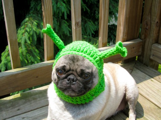 Lustige Hunde Gifs 112 Bewegte Bilder