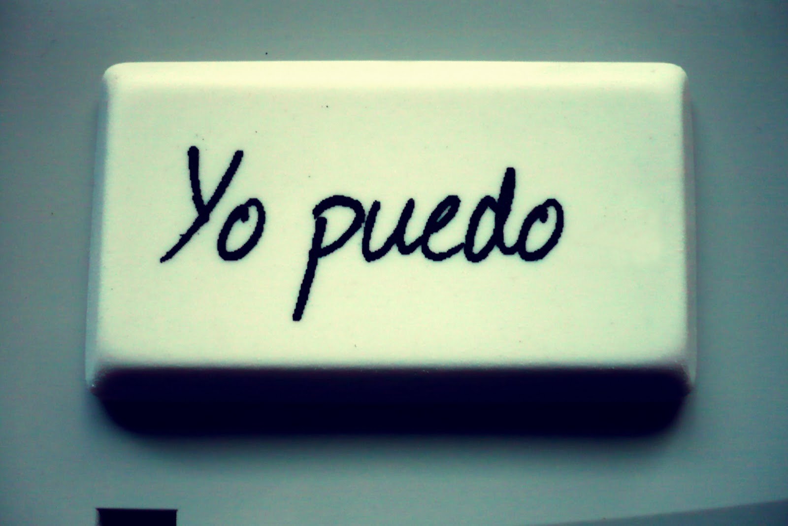 YO LA VIDA yo la vida: