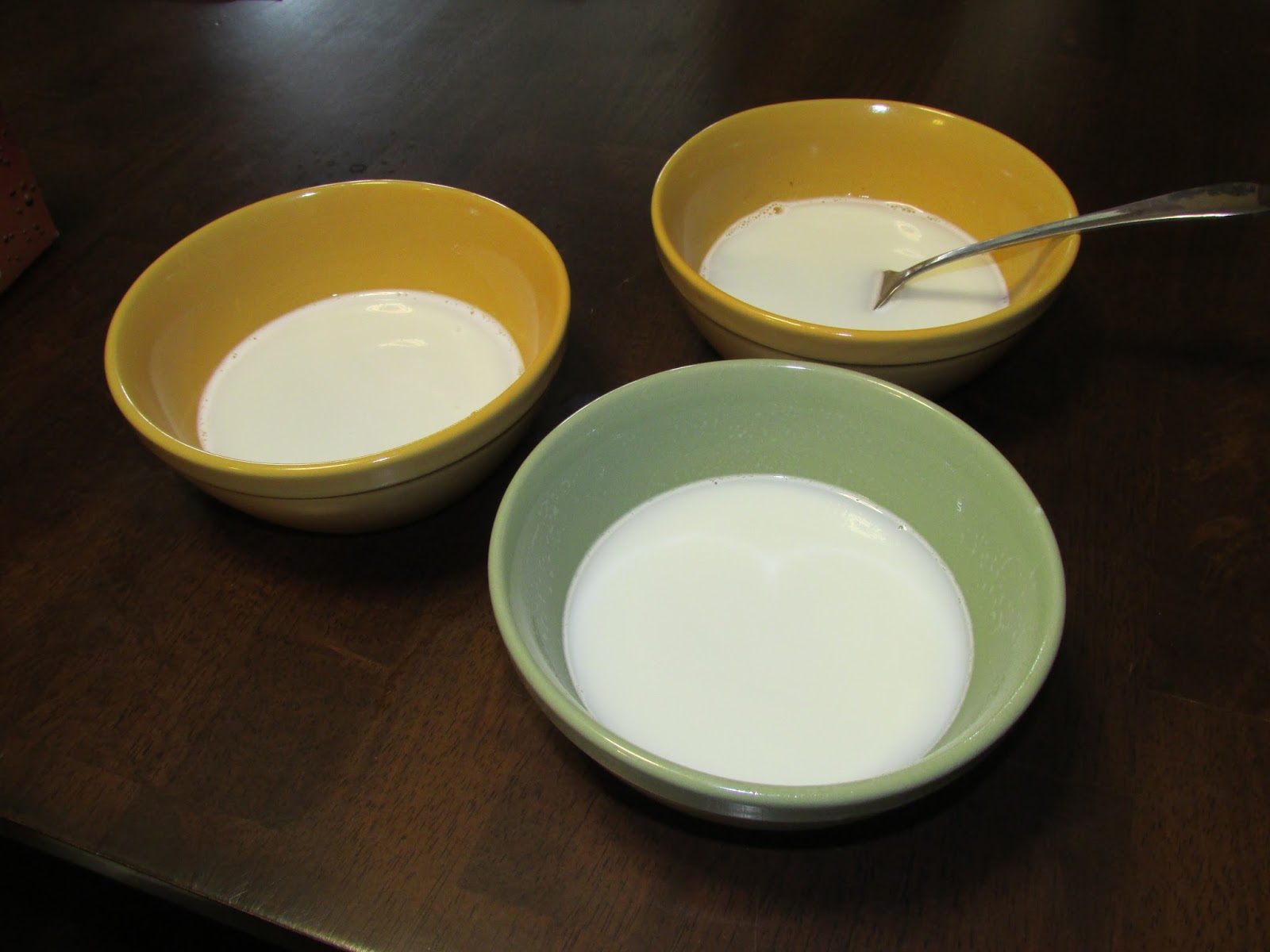 My Rotten Dogs The Honest Kitchen Pro Bloom Instant Goat S Milk