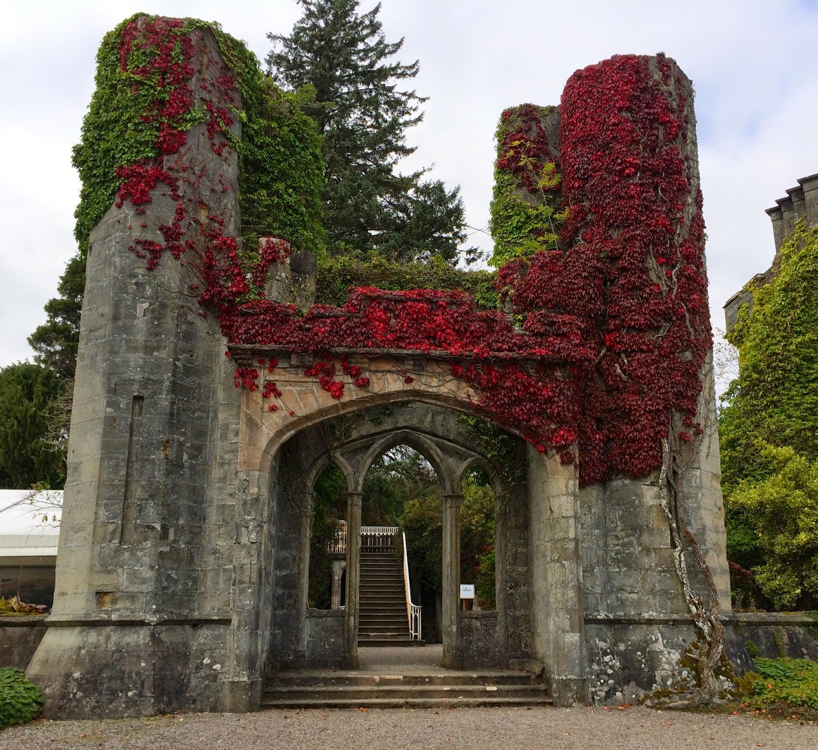 sheep dreams: More Scotland