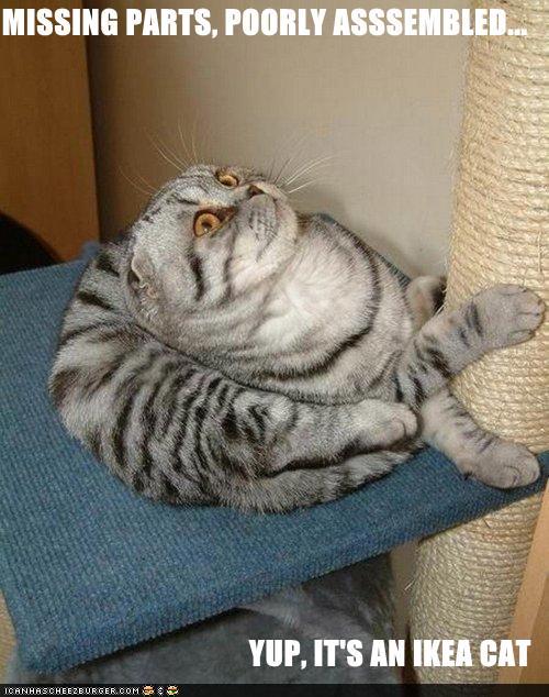 Monkey in the Middle Humor To Weather The Storm!