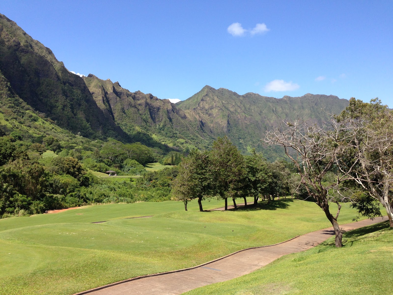 TASTE OF HAWAII KO'OLAU GOLF CLUB KANEOHE, HAWAII
