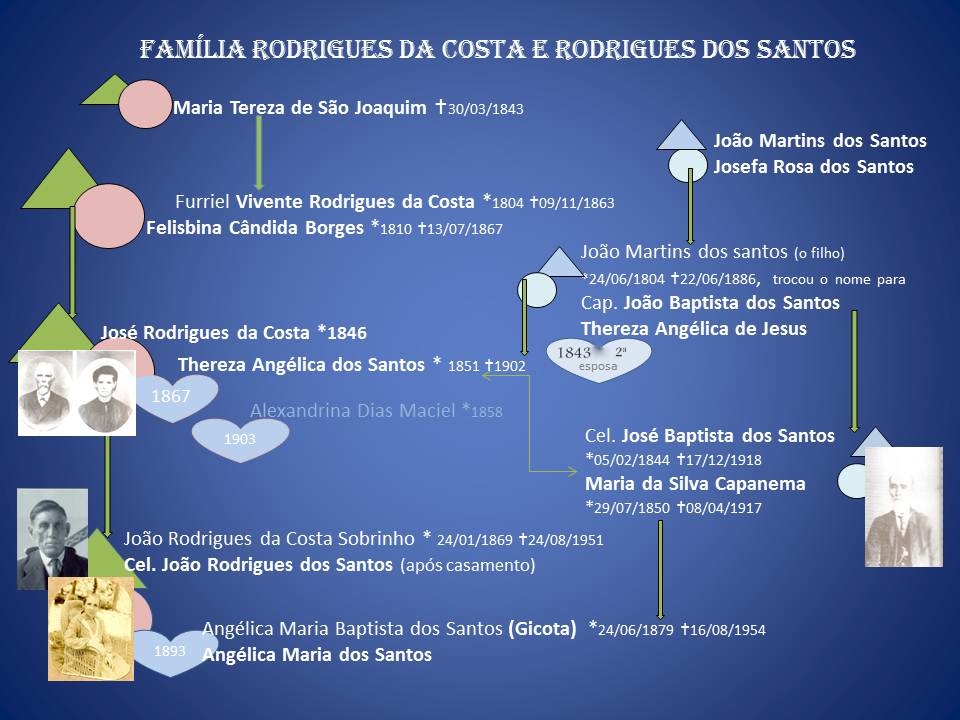 encontro da família Árvore genealógica ilustrada família rodrigues