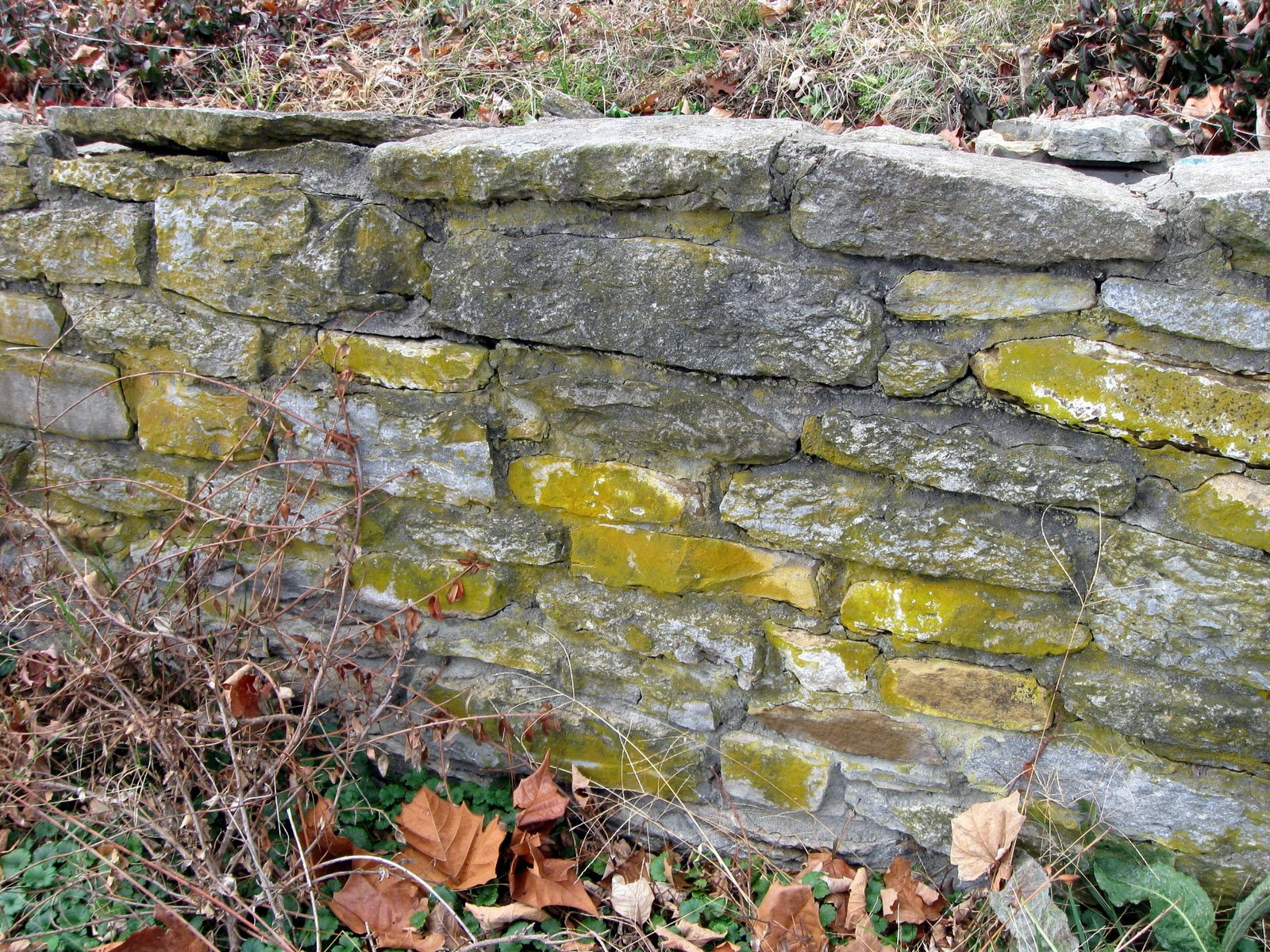 PICAYUNE PHOTOS HISTORIC MASONRY LIMESTONE ROCK