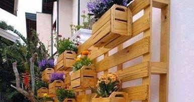 Amazing Creativity: Wall Gardening Idea