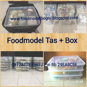 Foodmodel box + tas