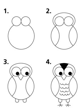 Step by Step Guide to Drawing an Owl