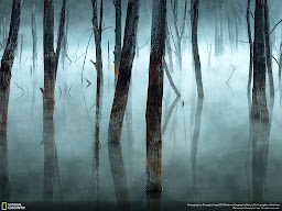 Honorable Mention, Landscapes, 2017 National Geographic Nature Photographer of the Year