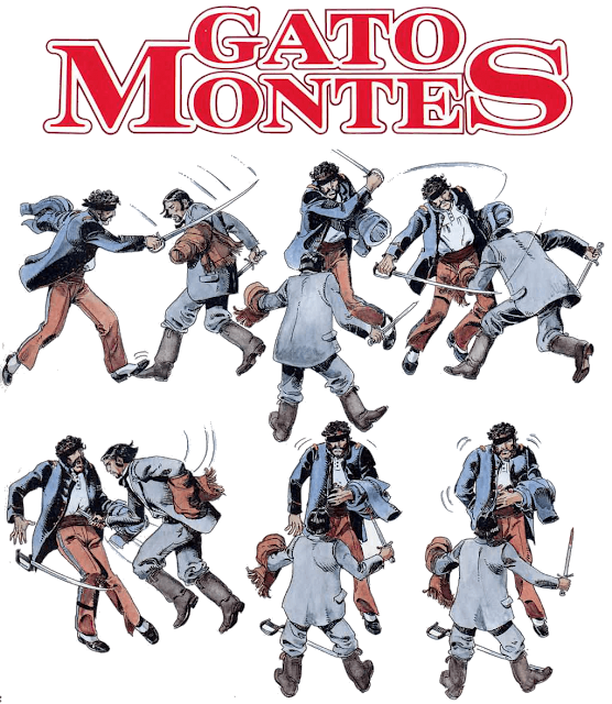 gato_montes-1.png