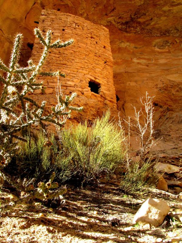 بيوت الهنود الحمر .. ثقـآفة وتـآريخ Anasazi+Ruins+by+Rick+Schafer-tower_house600_800