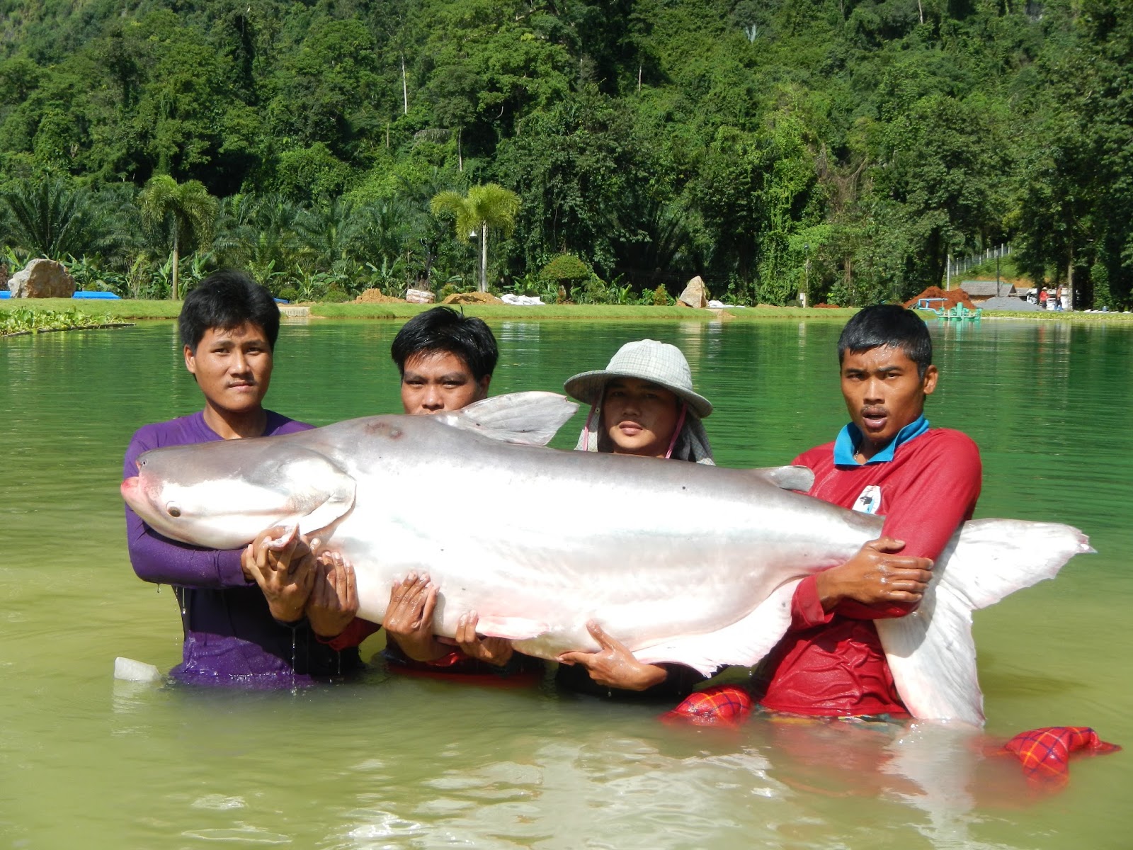 EXOTIC FISHING THAILAND MEKONG MADNESS AT EFT