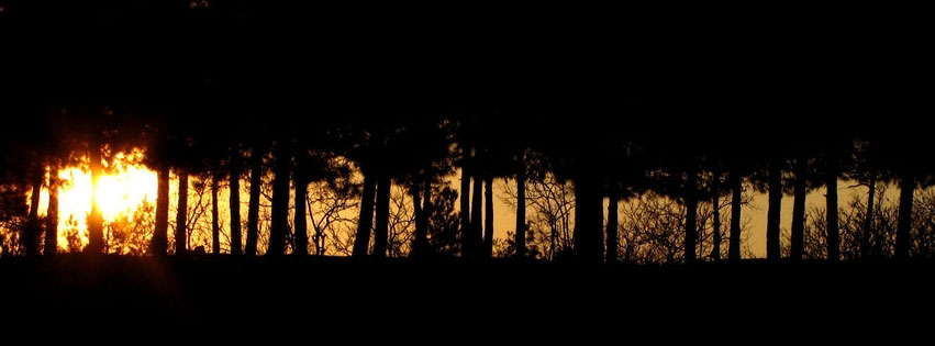 dark forest fb cover ocean dark timeline covers