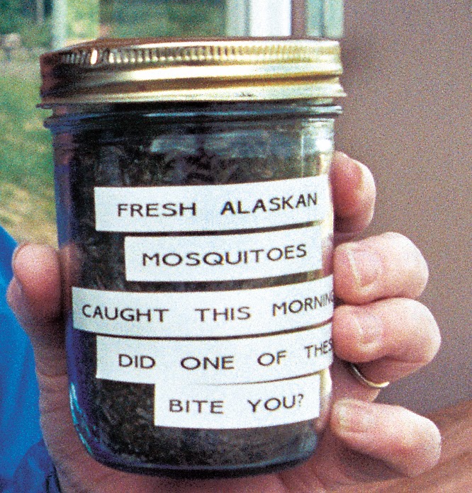 Alaska's Bugs The Northern Mosquito Is Ferocious