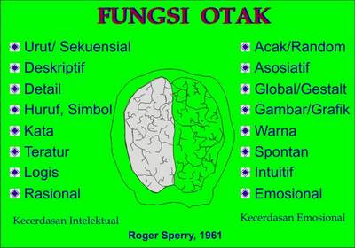 Ruang Inspirasi Perbedaan Fungsi Otak Kanan Dan Otak Kiri