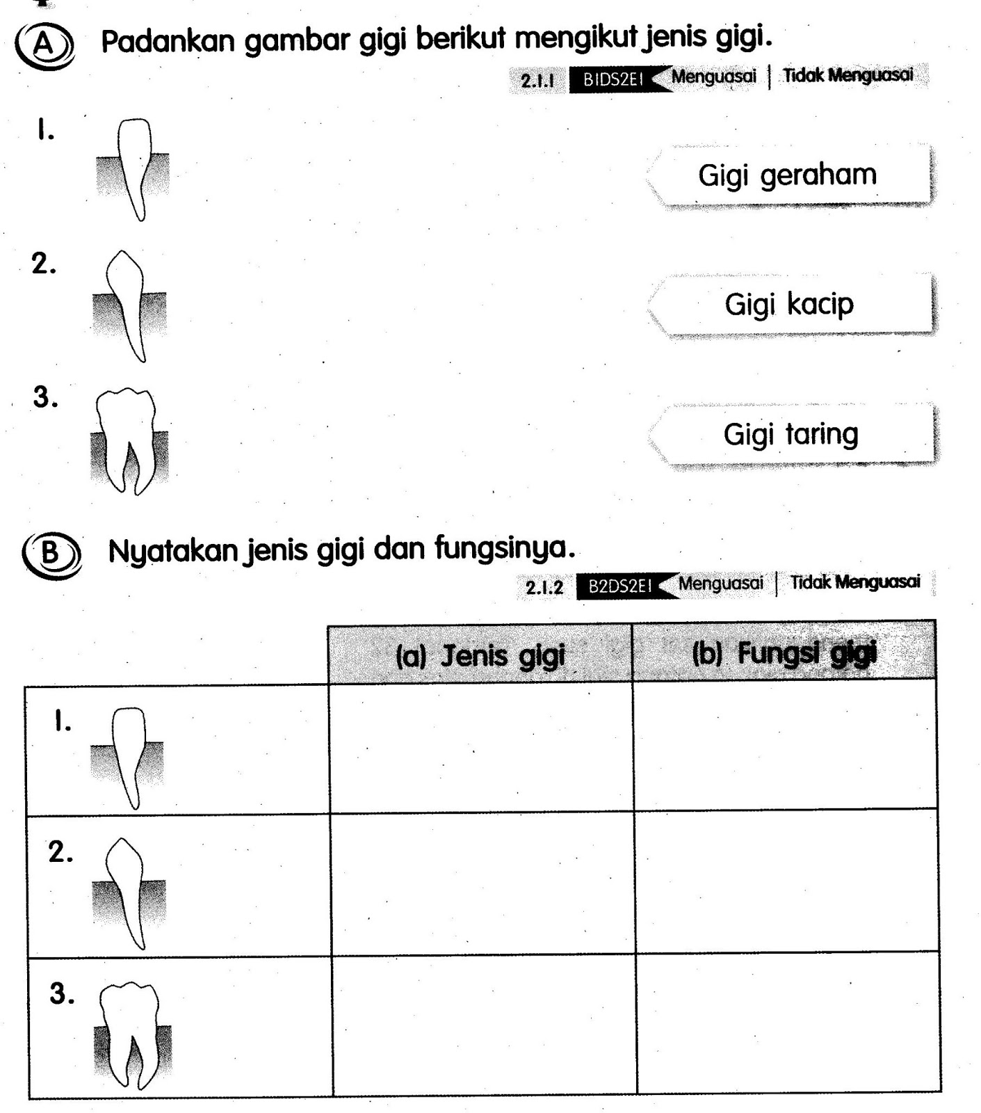 Bank Soalan Sains Tahun 2