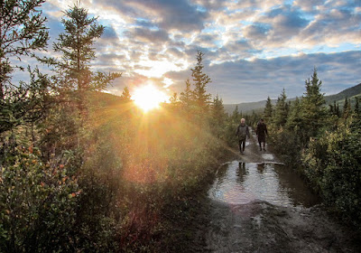 Stampede Trail Alaska Wilderness Travelling 