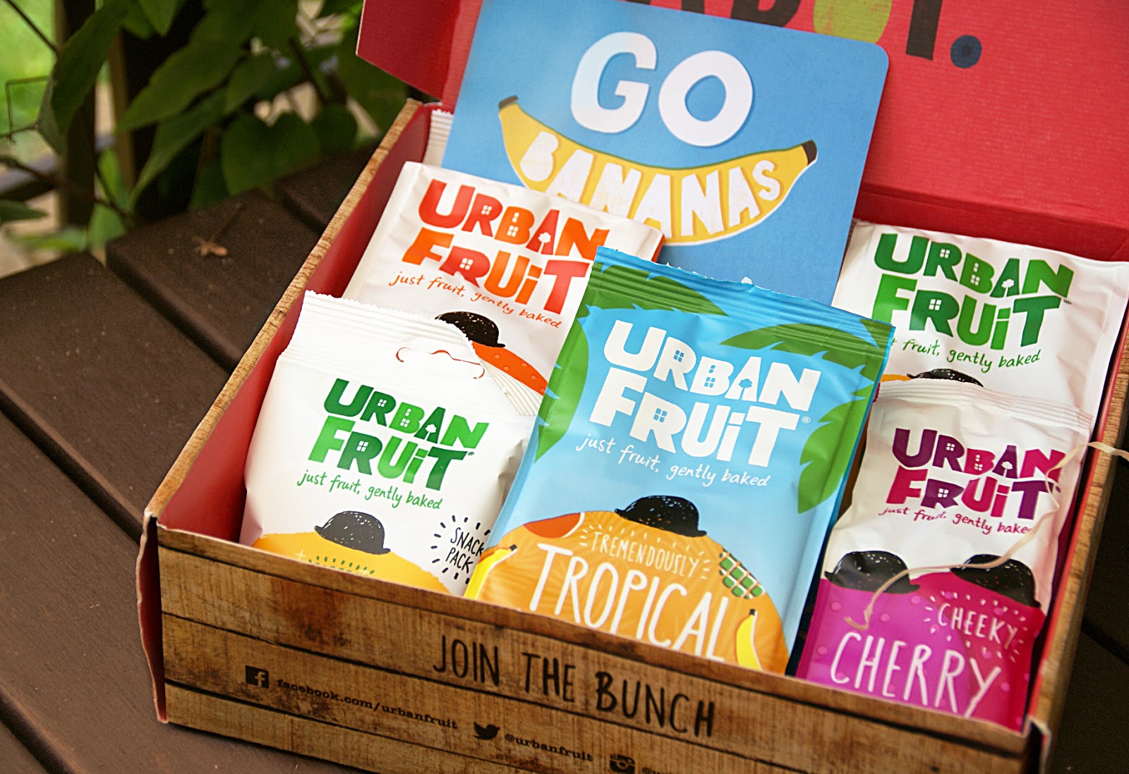 Urban Fruit A Blackbird's Epiphany UK Women's Fitness and Fantasy