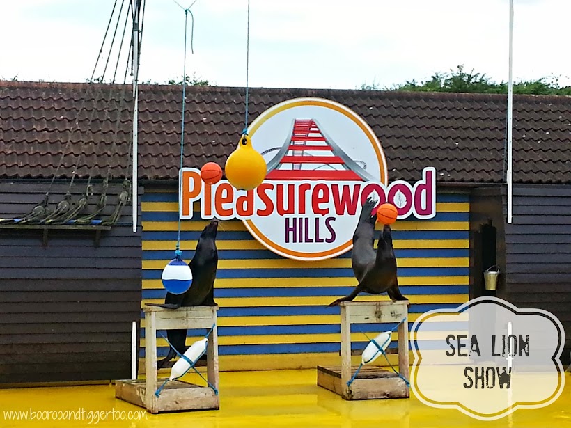 Sea Lion Show - Pleasurewood Hills, Lowestoft Sea Lion Show - Pleasurewood Hills, Lowestoft
