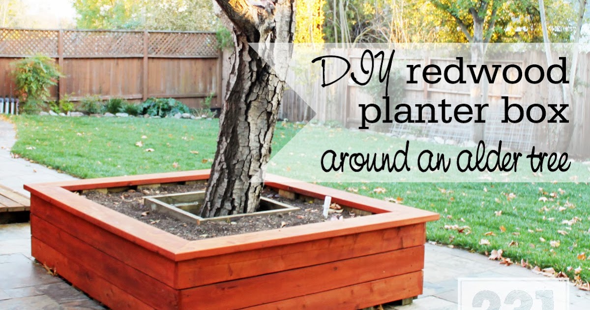 231 Designs Planter Box With Seating Around The Alder Tree Part 2 Building And Siding - Planter Box Around Tree 231 Designs Planter Box With Seating Around The Alder Tree Part 2 Building And Siding - Planter Box Around Tree