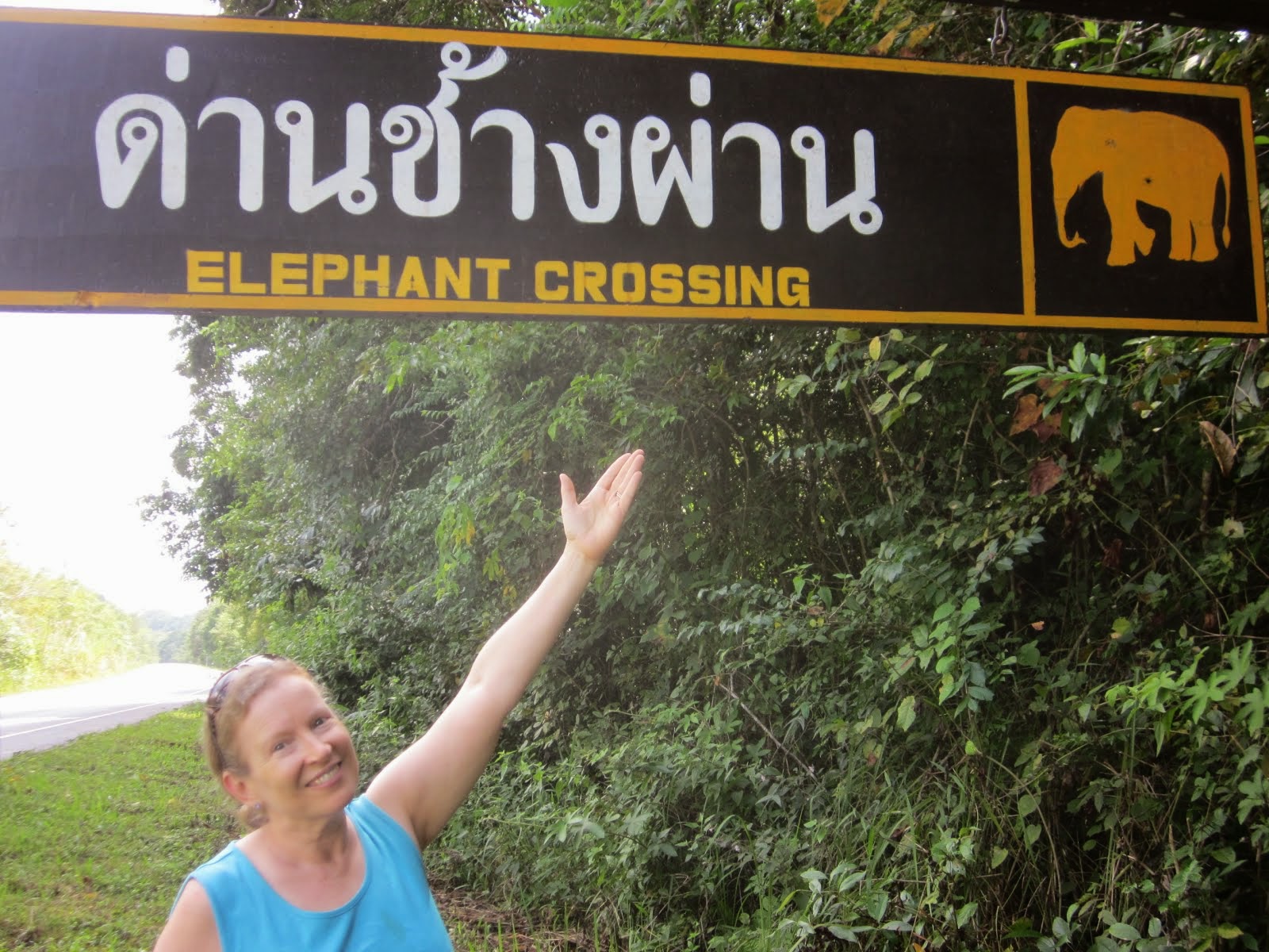Watching out for elephants in national park in  northern Thailand