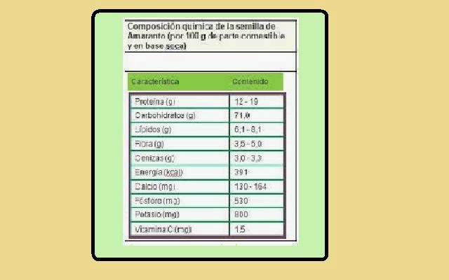 Develando la Salud: Amaranto o Kiwicha planta magica Develando la Salud: Amaranto o Kiwicha planta magica