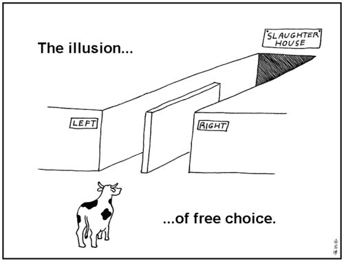 Define determinism fatalism and free will