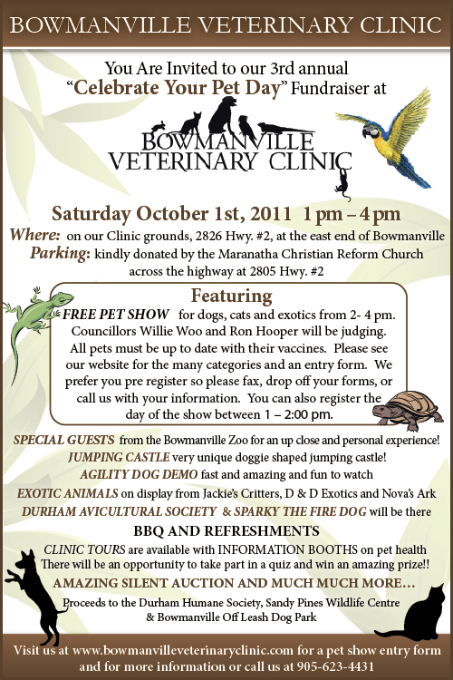 bowmanville veterinary clinic 2011
