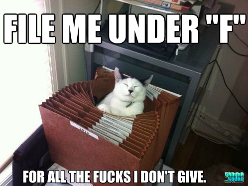 notasinglef-lolcat-file-gammasquad.jpg