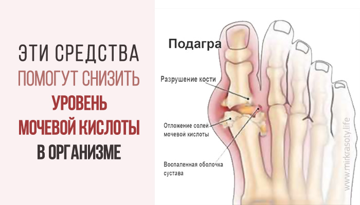 Тренажеры для плечевого плечевых суставов Тренажеры для плечевого плечевых суставов
