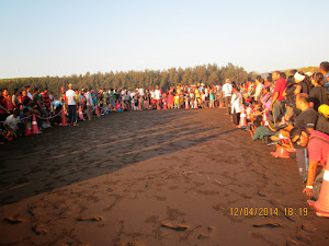 "VELAS TURTLE FESTIVAL" on Velas beach in Ratnagiri district of Maharashtra.