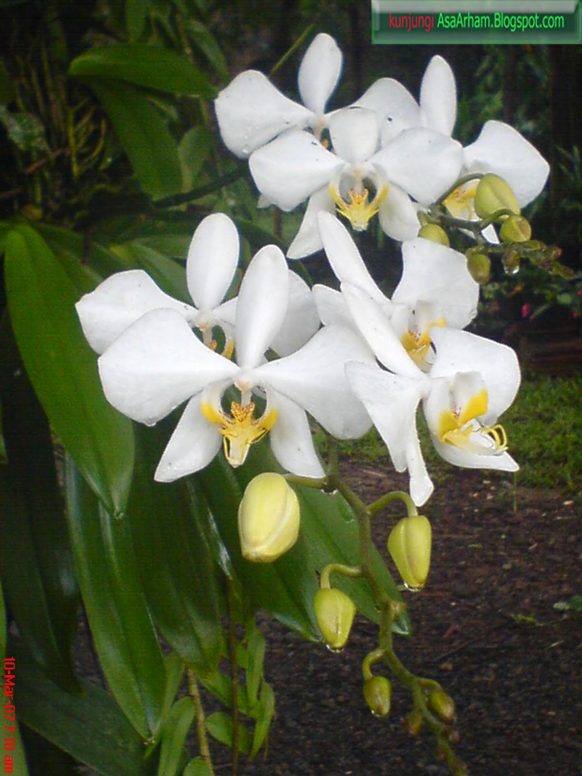 Shalat Mencegah Perbuatan Keji Dan Mungkar Contoh Saran