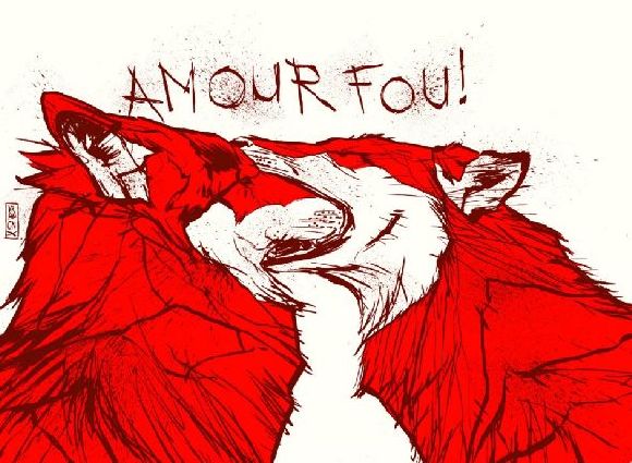 Amour Fou by Gilles Vranckx