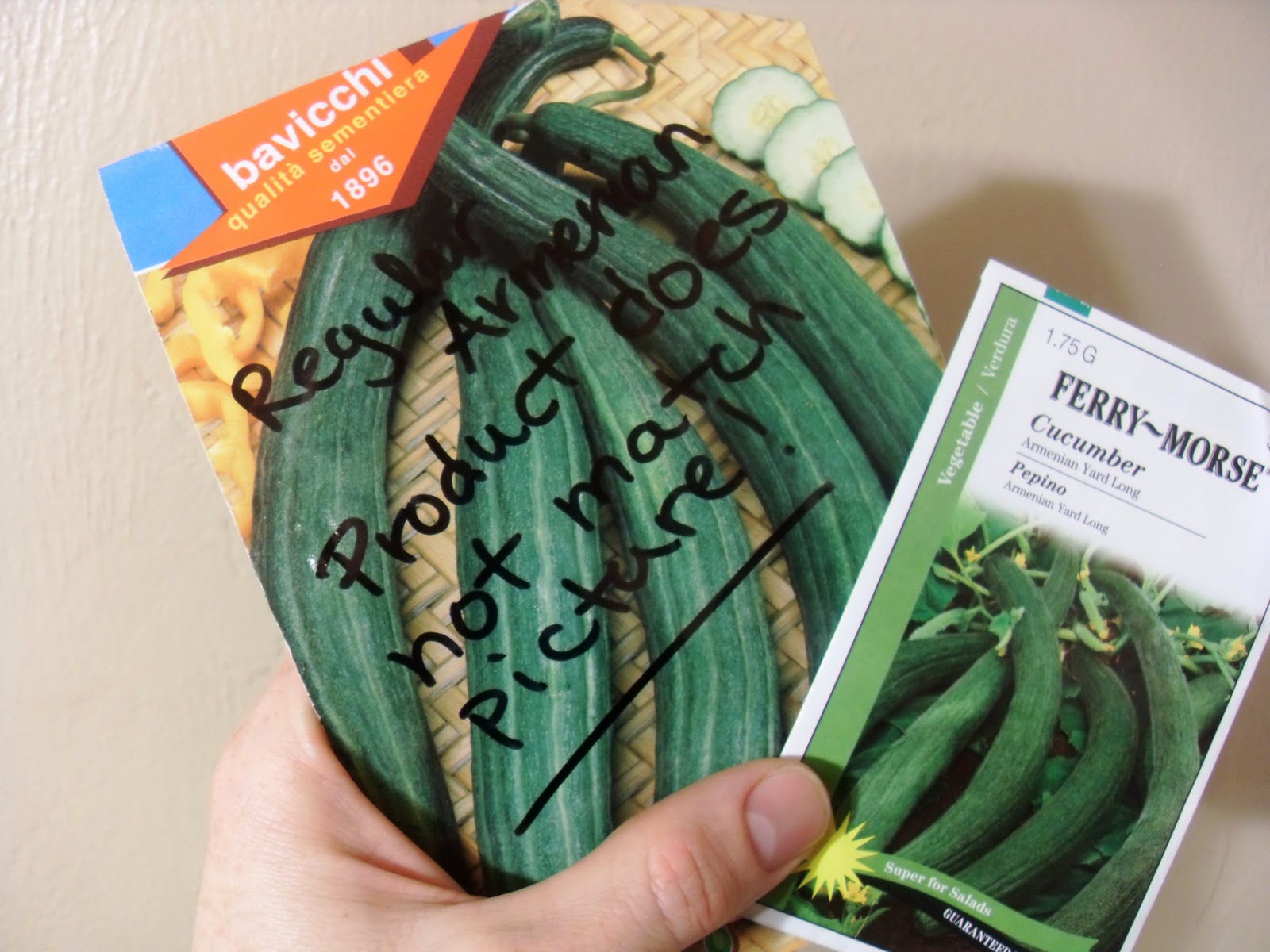 Armenian Cucumber