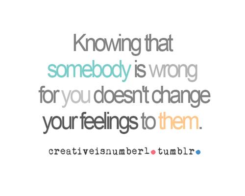 Sommernachtstraum Mai 2012