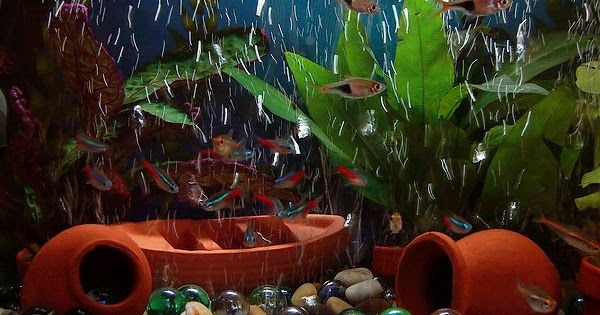 fish aquarium toys online