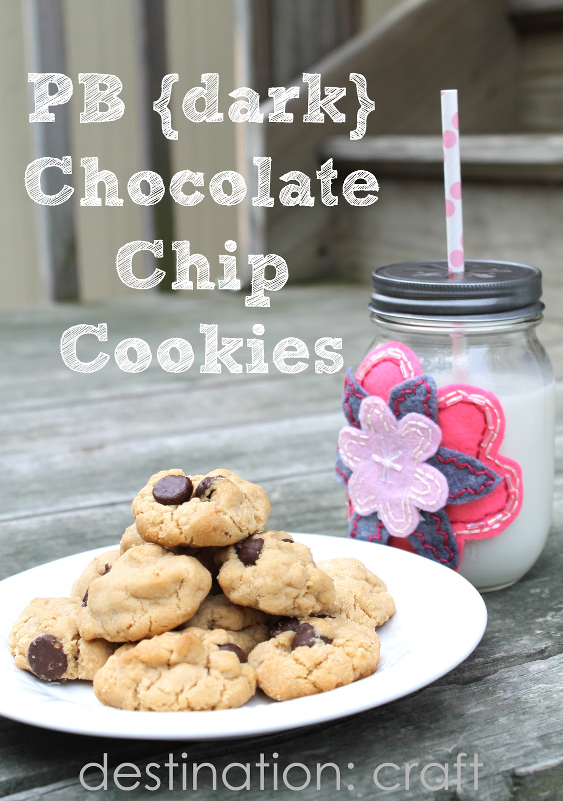Destination Craft Peanut Butter (Dark) Chocolate Chip Cookies