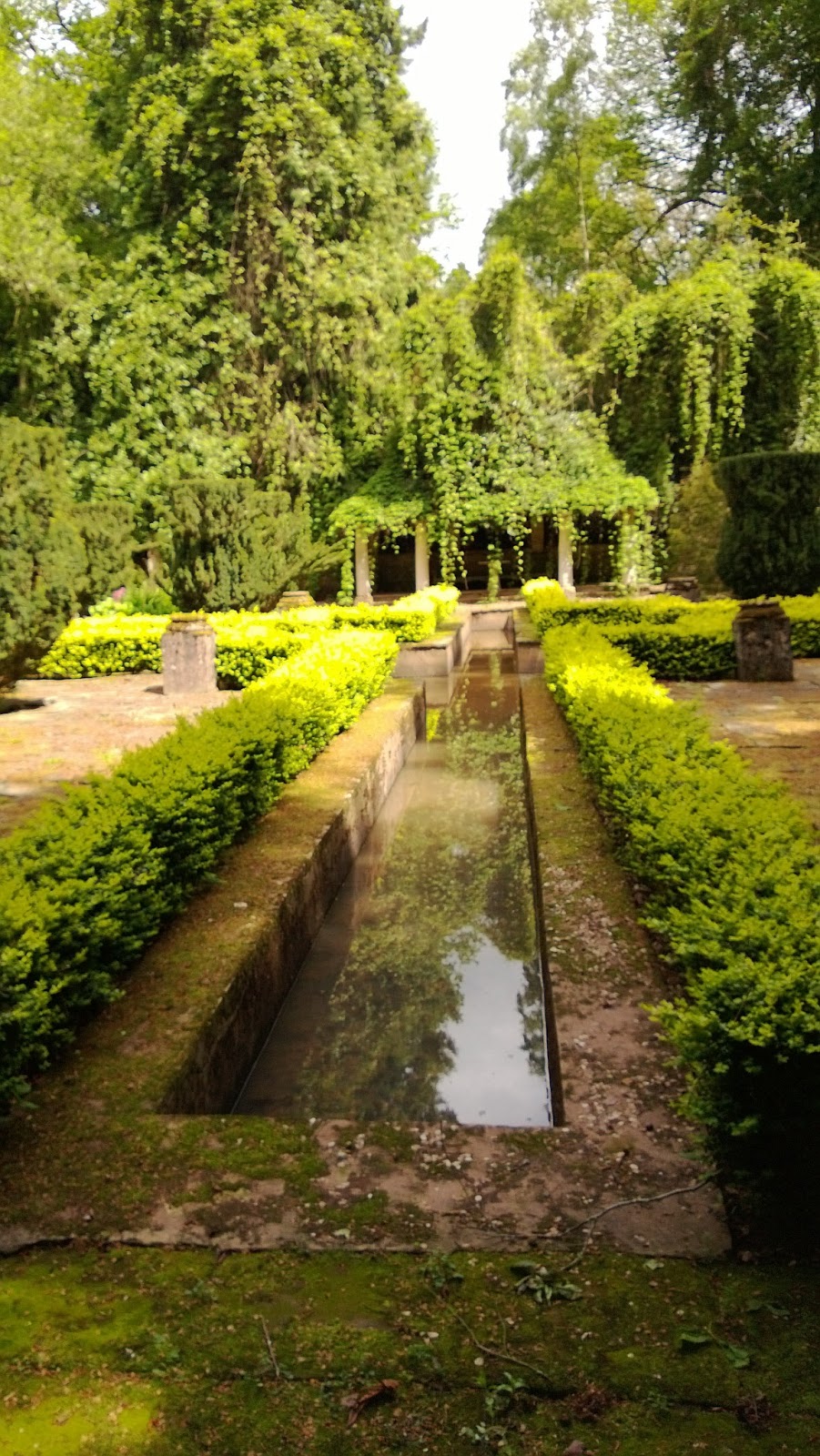 Something Beautiful Everyday How Capel Court Gardens