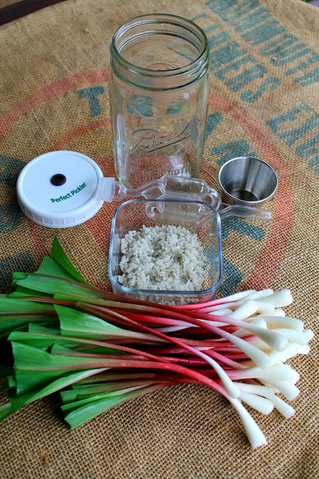 Lettuce Turnip the Beet Brine Pickling vs. Vinegar Pickling