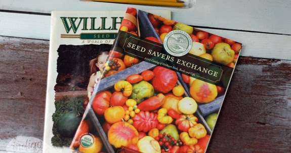 indigo 26: BYG: Ordering Seeds