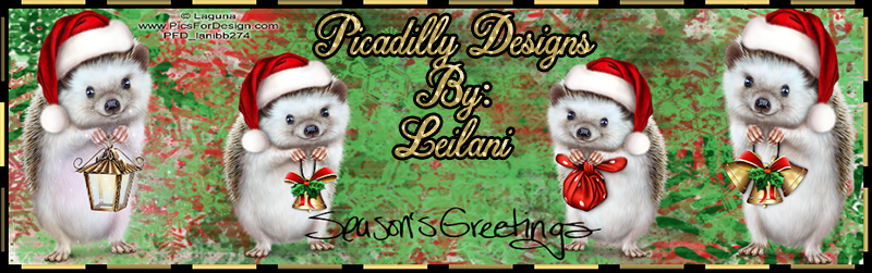 Picadilly Designs tags