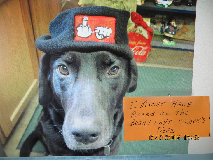 When my dog Buddy L wears this hat,his attitude about the truth gets worse.