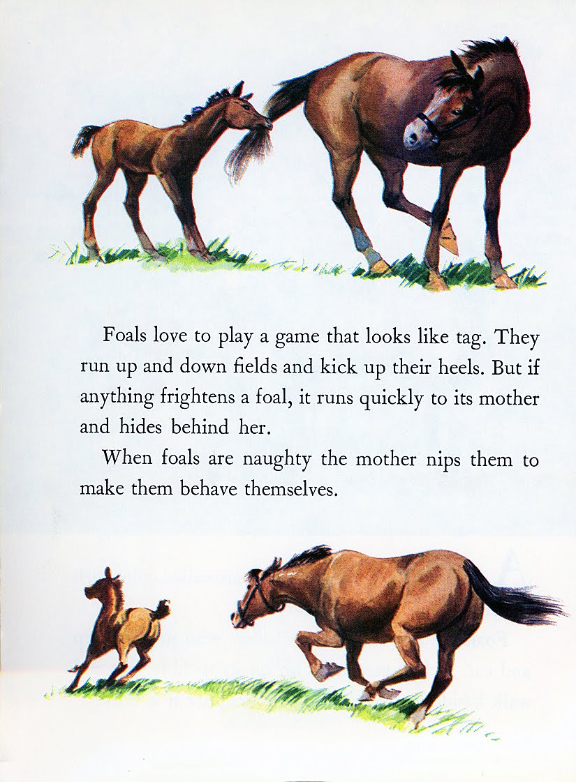 The Big Blog of Kids’ Comics! Hamilton Greene "Golden" Horses