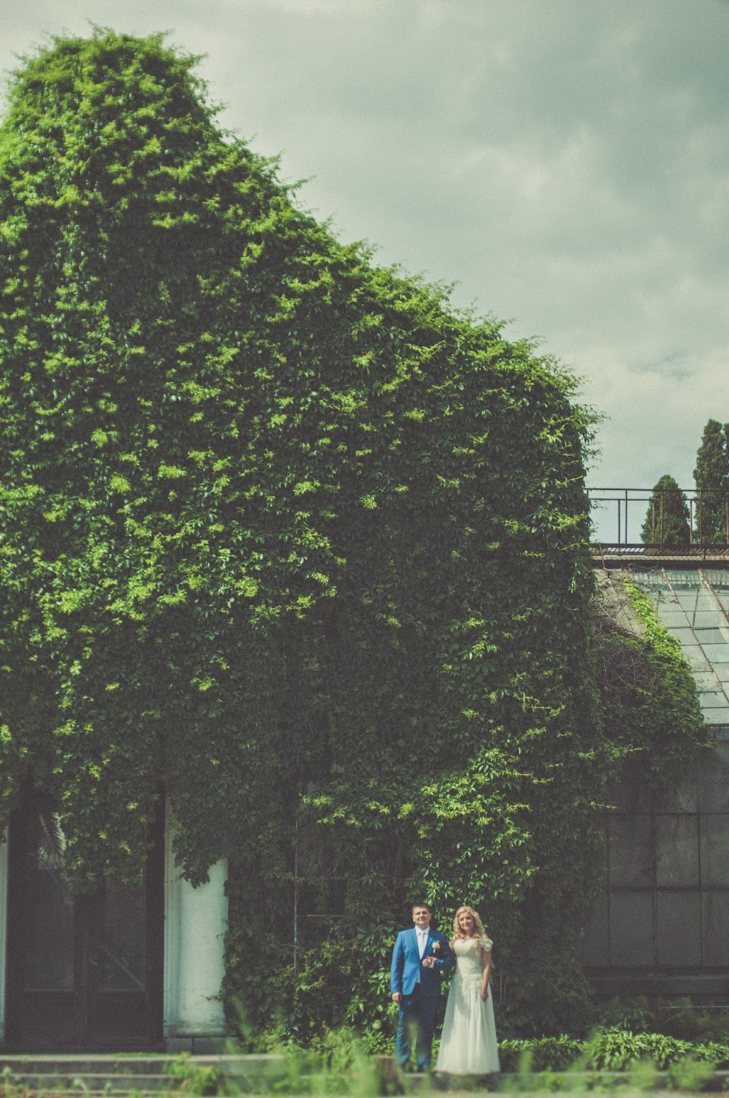 Свадебная фотосессия Кати и Коли_12 свадебный фотограф в Киеве,свадебная фотосессия, летняя фотосессия