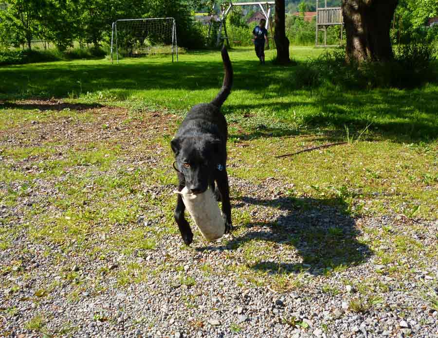 Manfred Mann S Earth Band In Rinteln